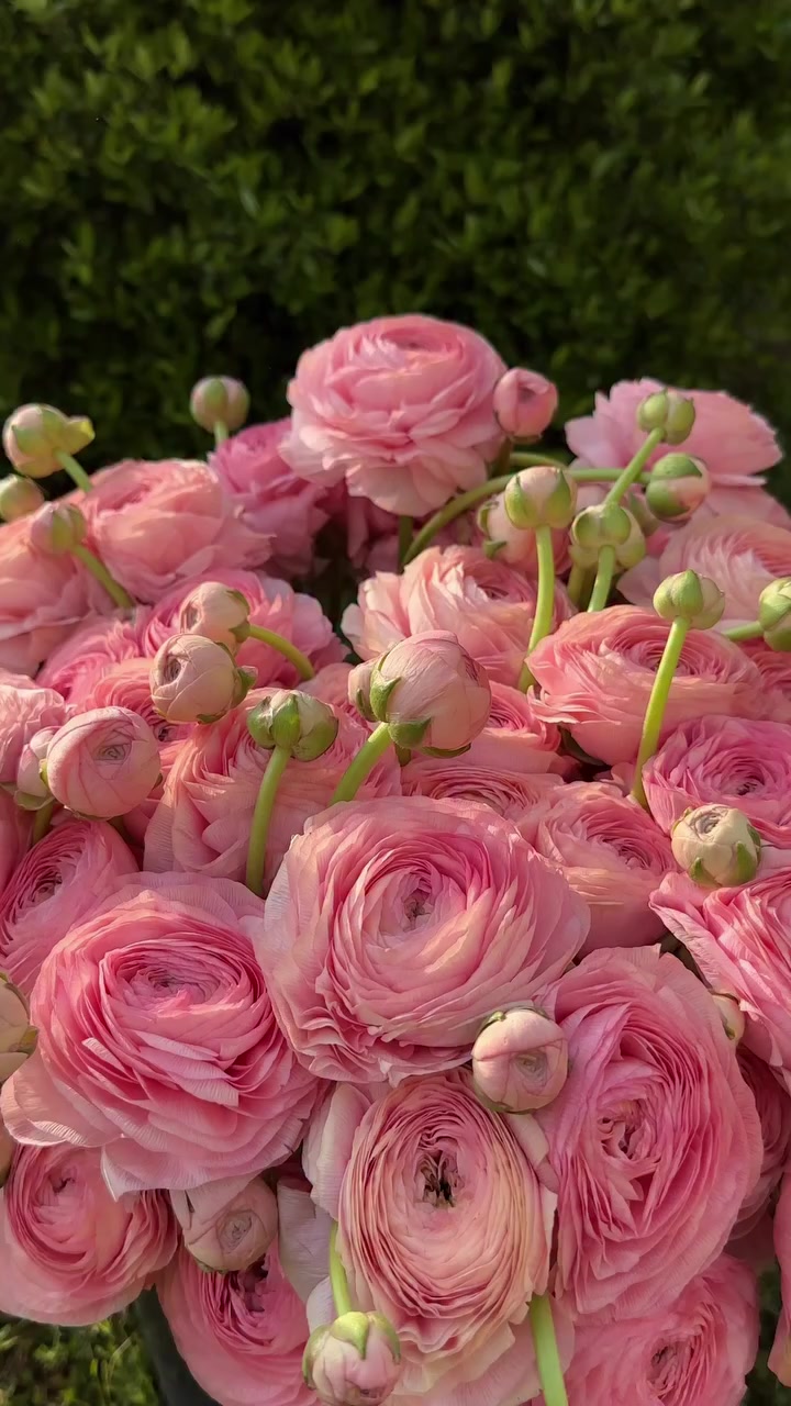 @𝓂𝓎 𝒷𝓁𝑜𝑔
