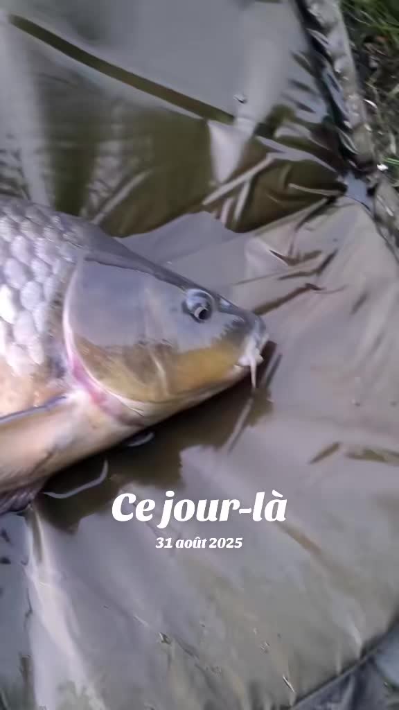 @Jocarpfishing