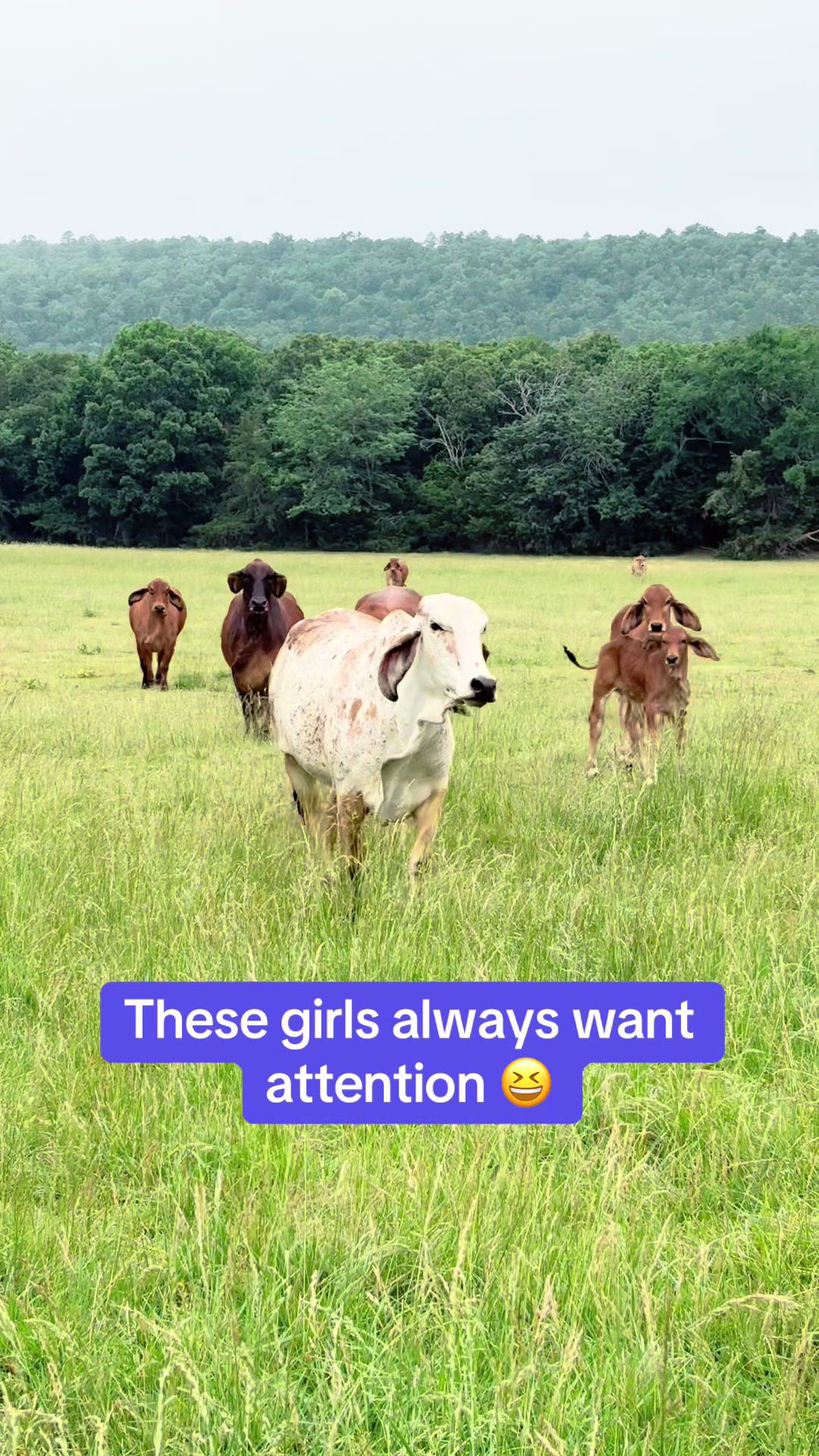 @Cherie