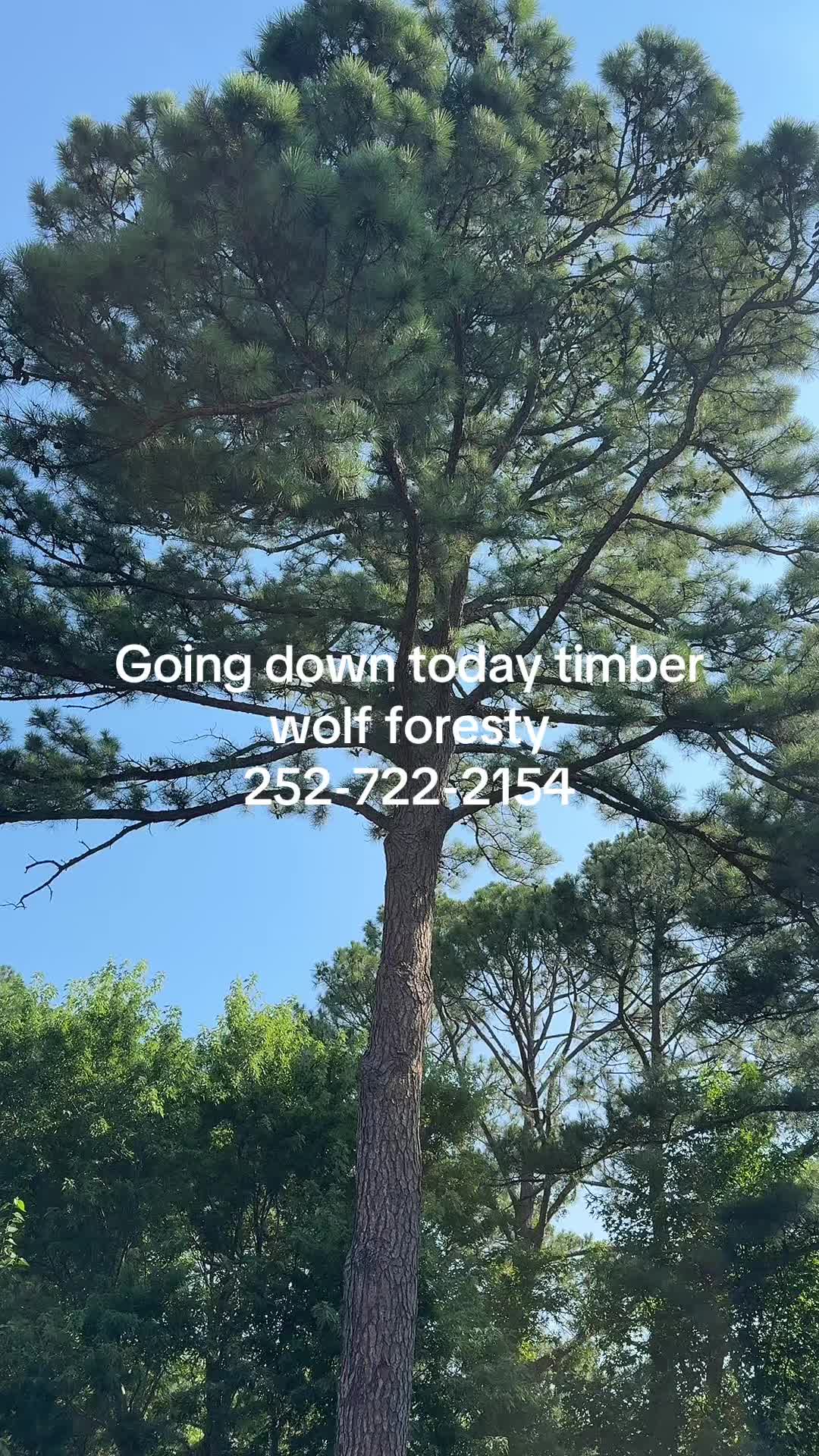 @GD