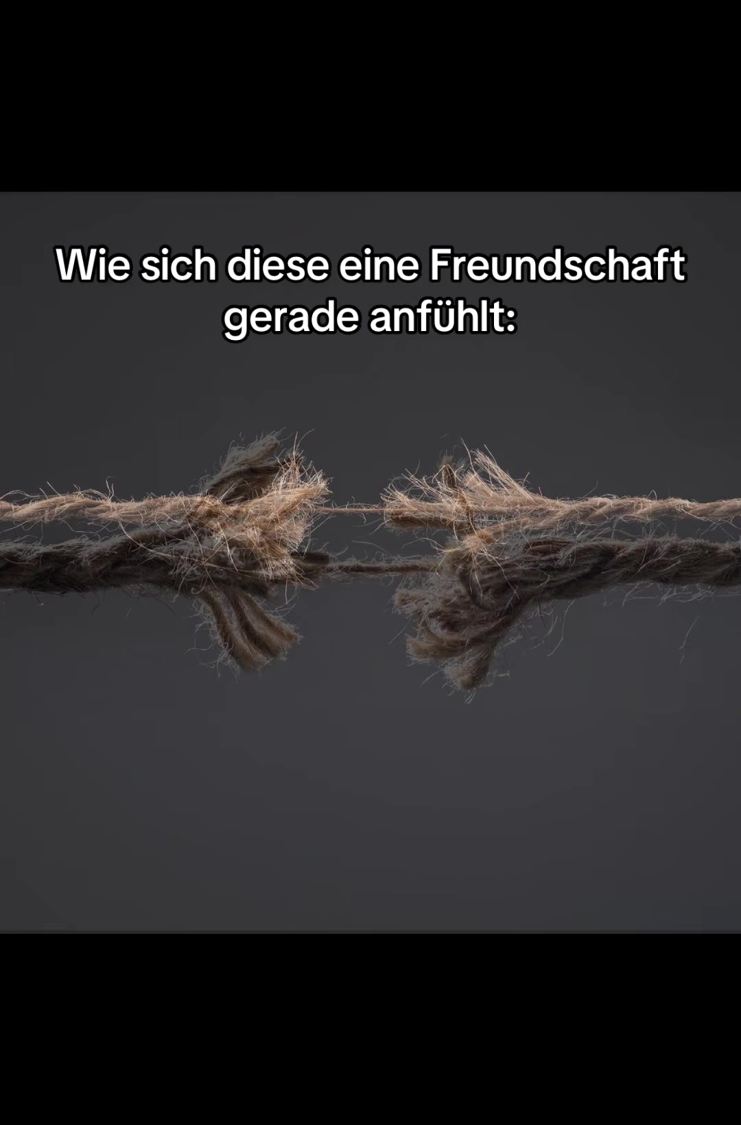 @bessersein0