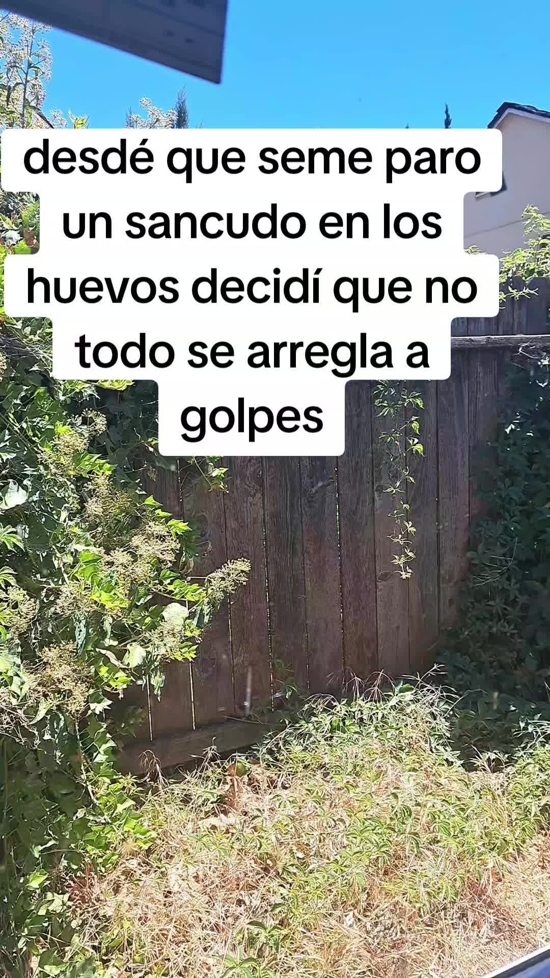 @el barbas de Jalisco