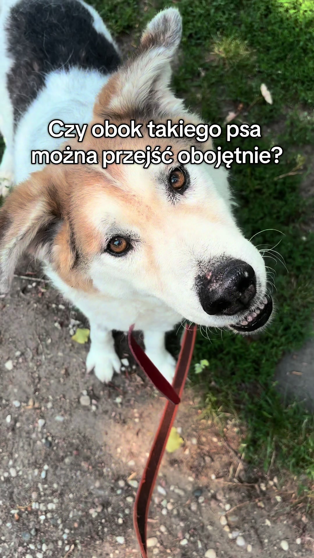 @Olga Spiritual Bish
