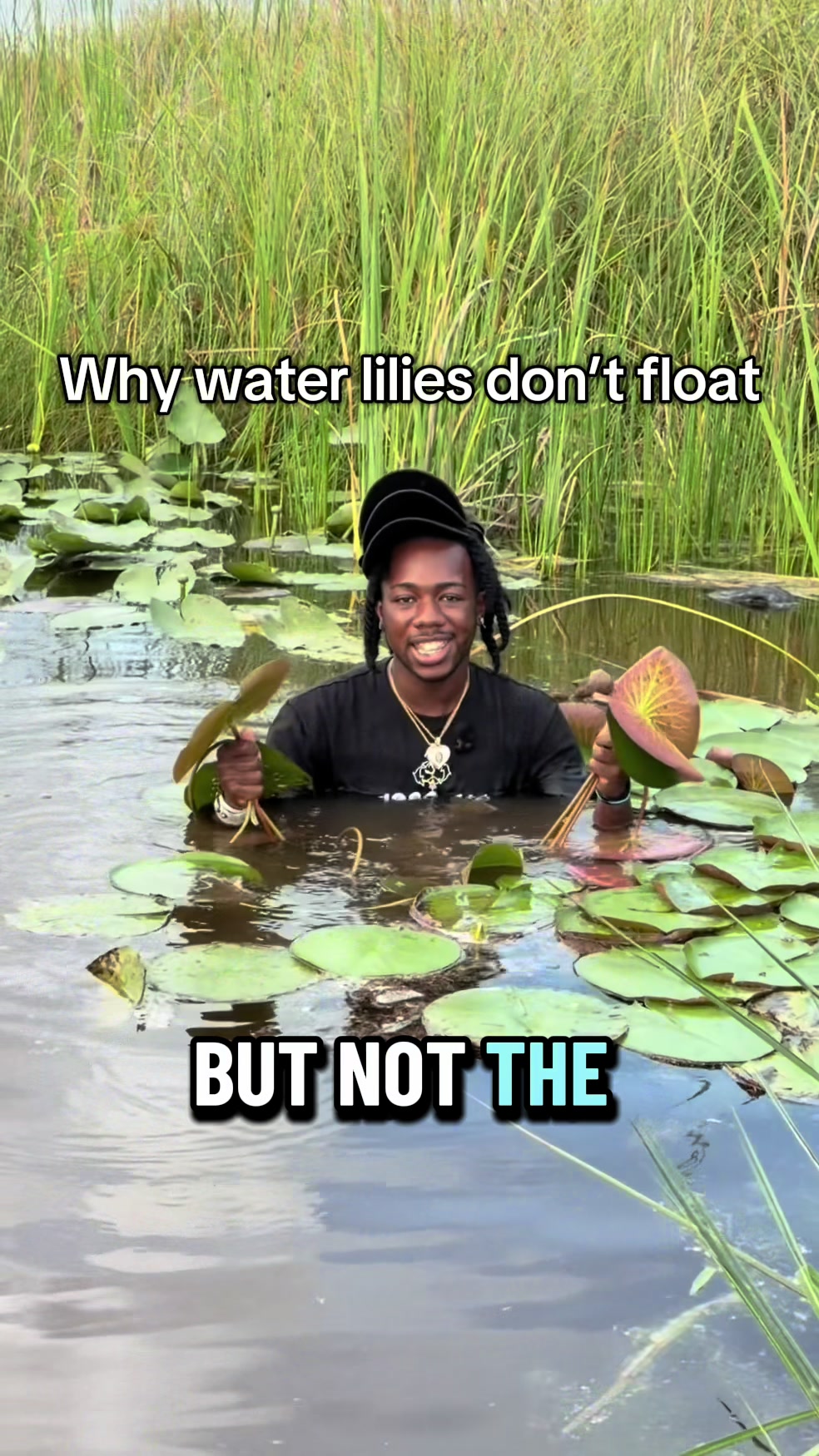 @Jordon