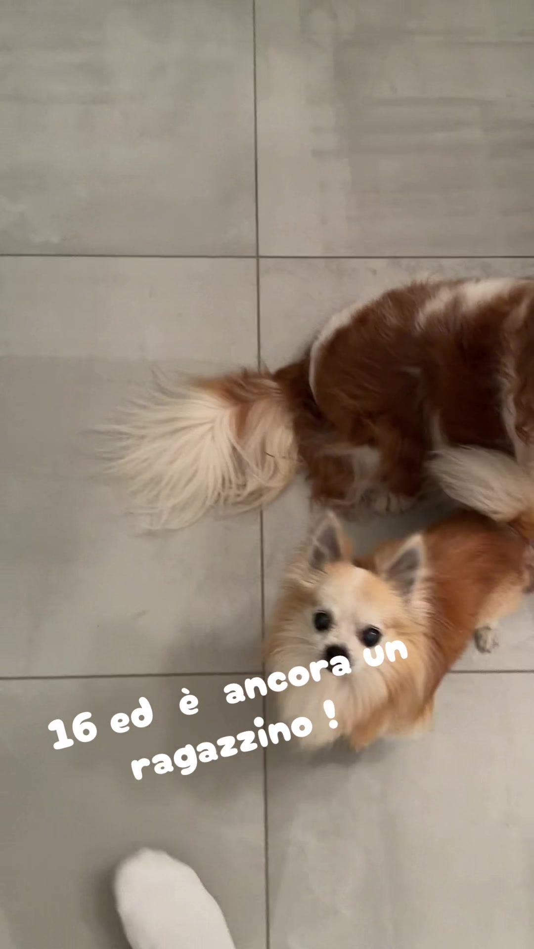 @Ma$$imo Fiorio