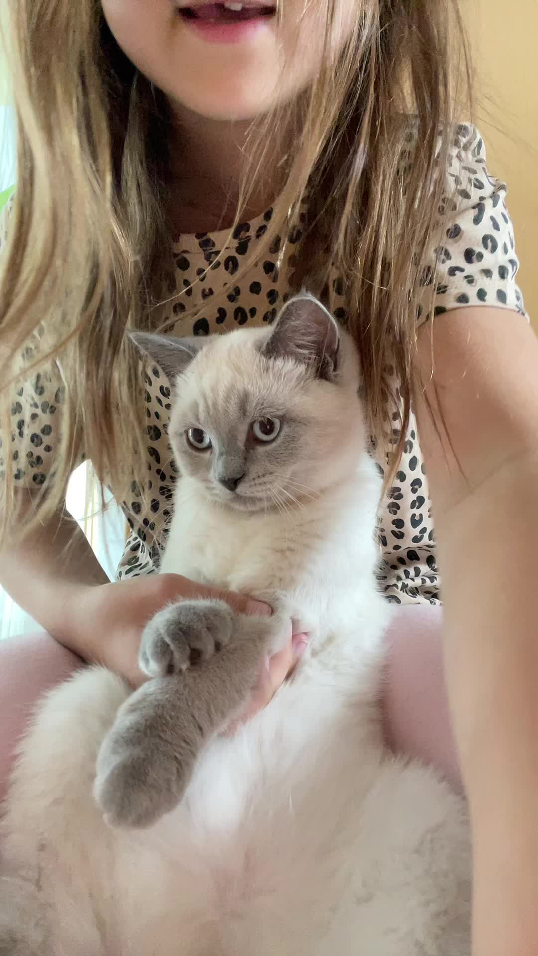 @тгк: Бриковна🎀🐰