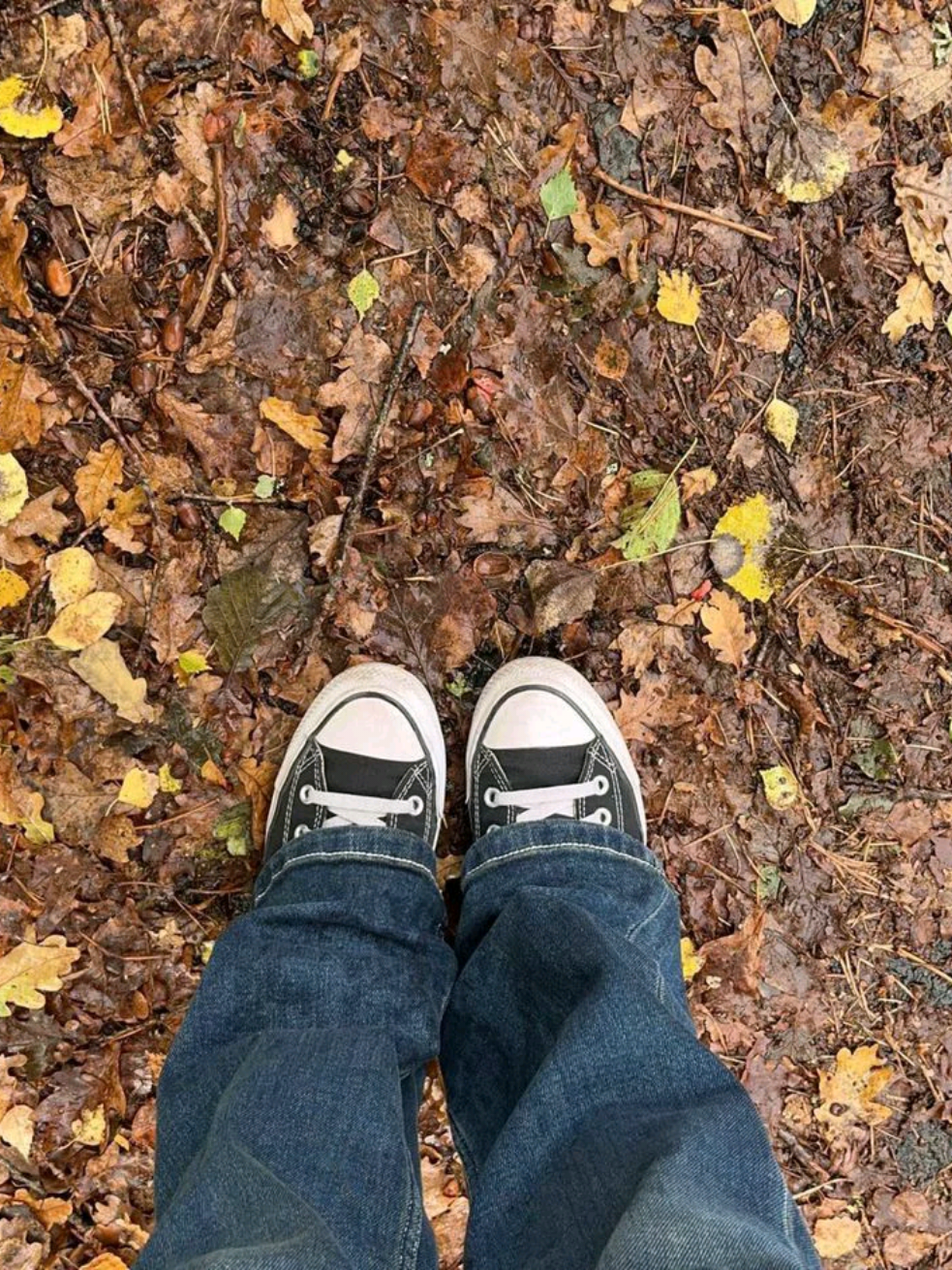 @⋆˚꩜｡fall_diary⋆˚꩜