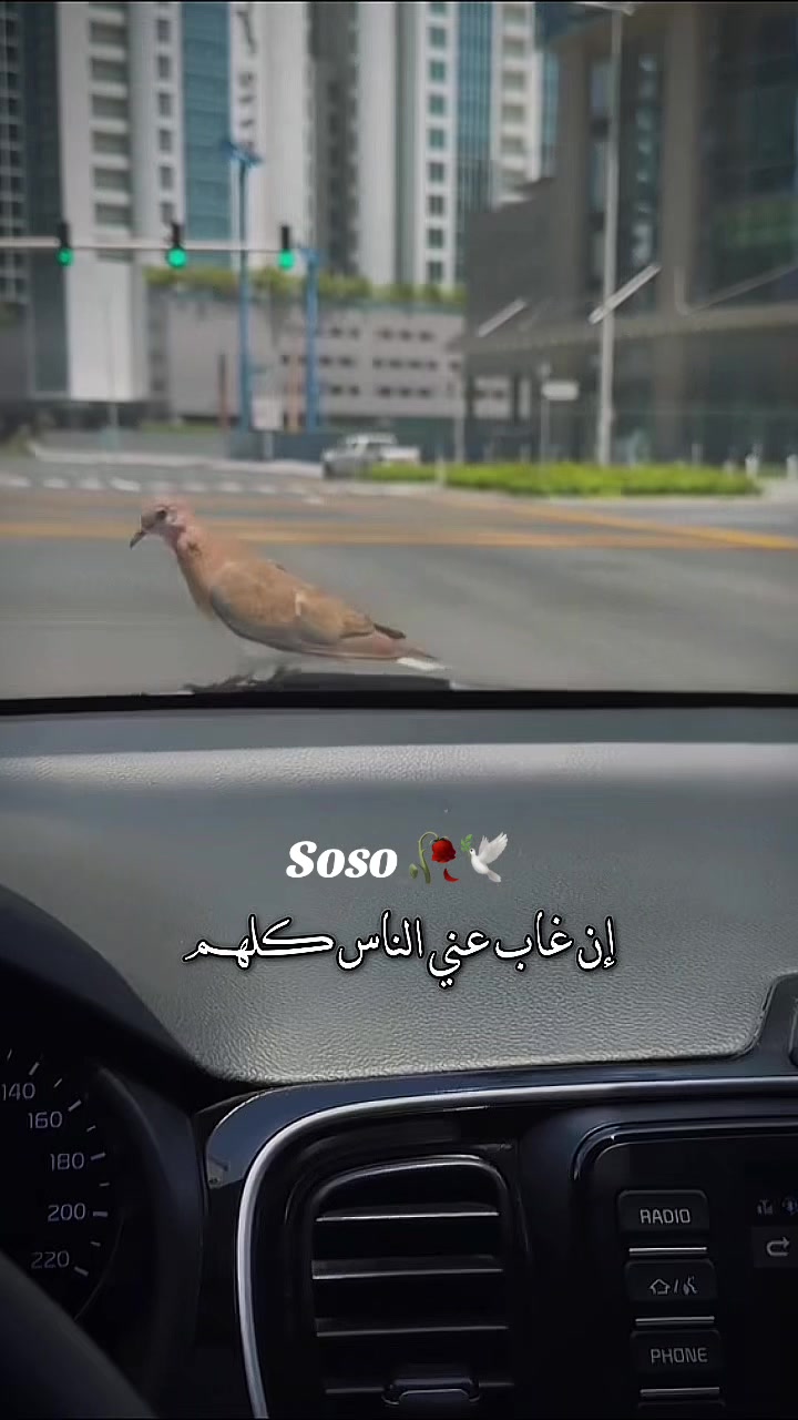 @༊෴✿ سوسو ✿〄࿐