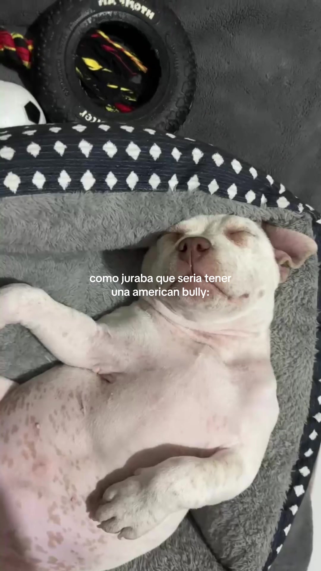 @️michelle