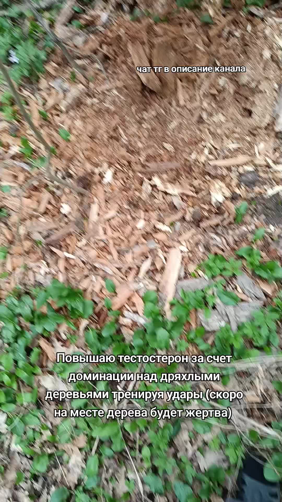 @Лучезарный хрякᛉ
