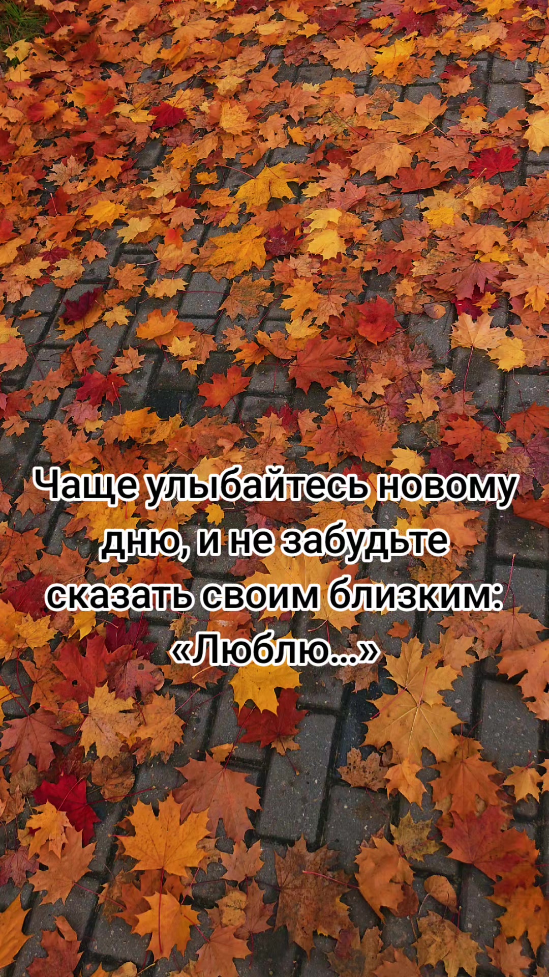 @Lesya Bronzova