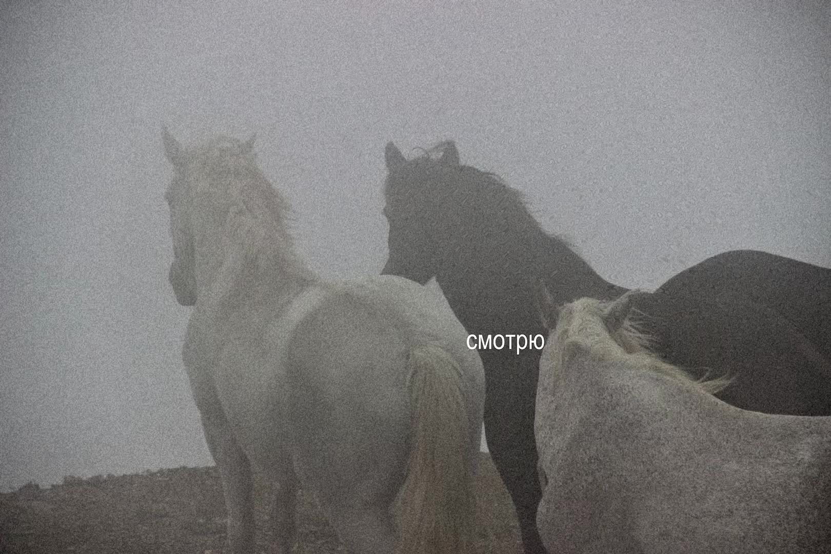 @звуки для липсингов