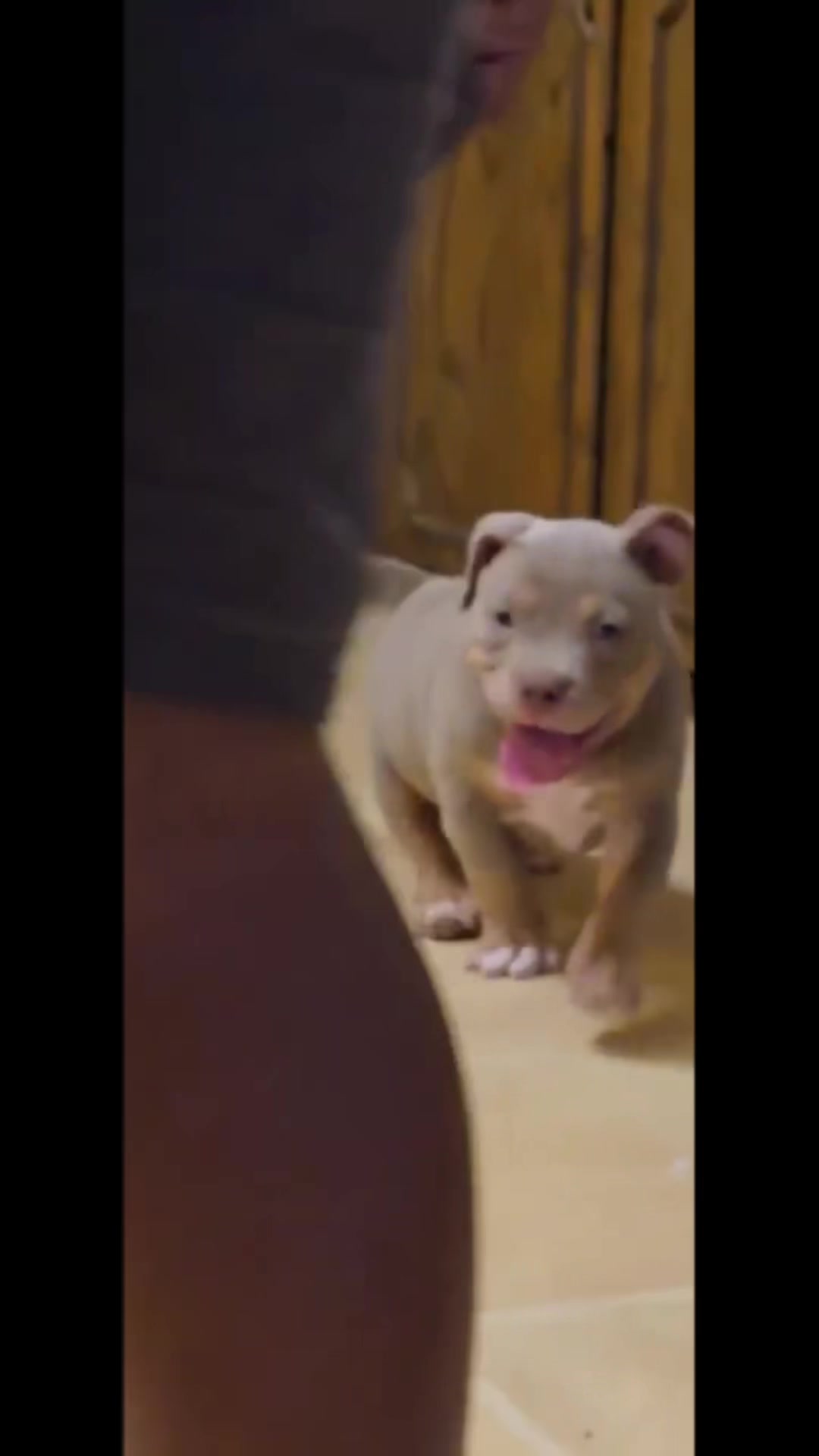 @Carters BullyHub