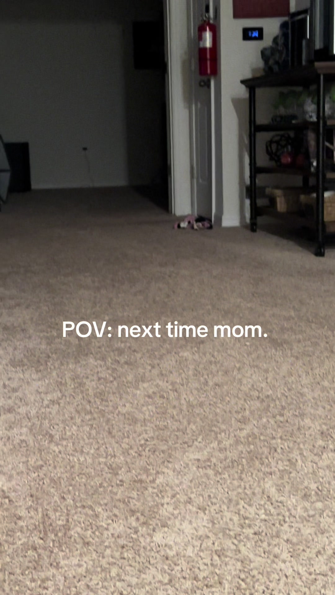 @Penny the Yorkie