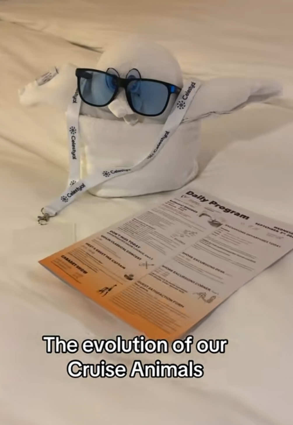 @Emily ✈️ Travel on a Budget