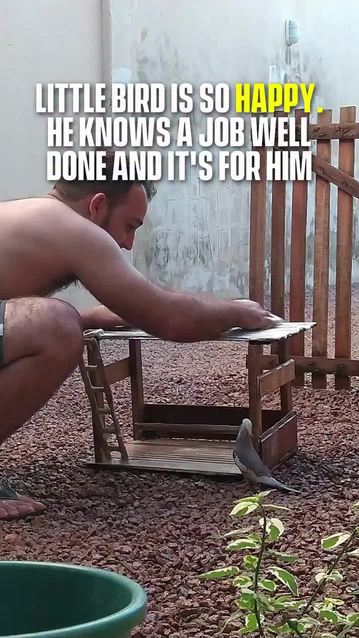 @ricogotti86