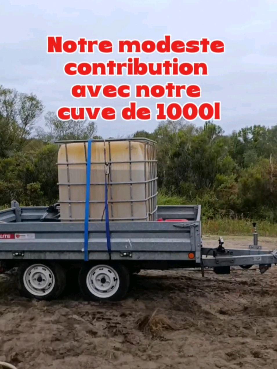 @Médoc Guêpes Frelons Services