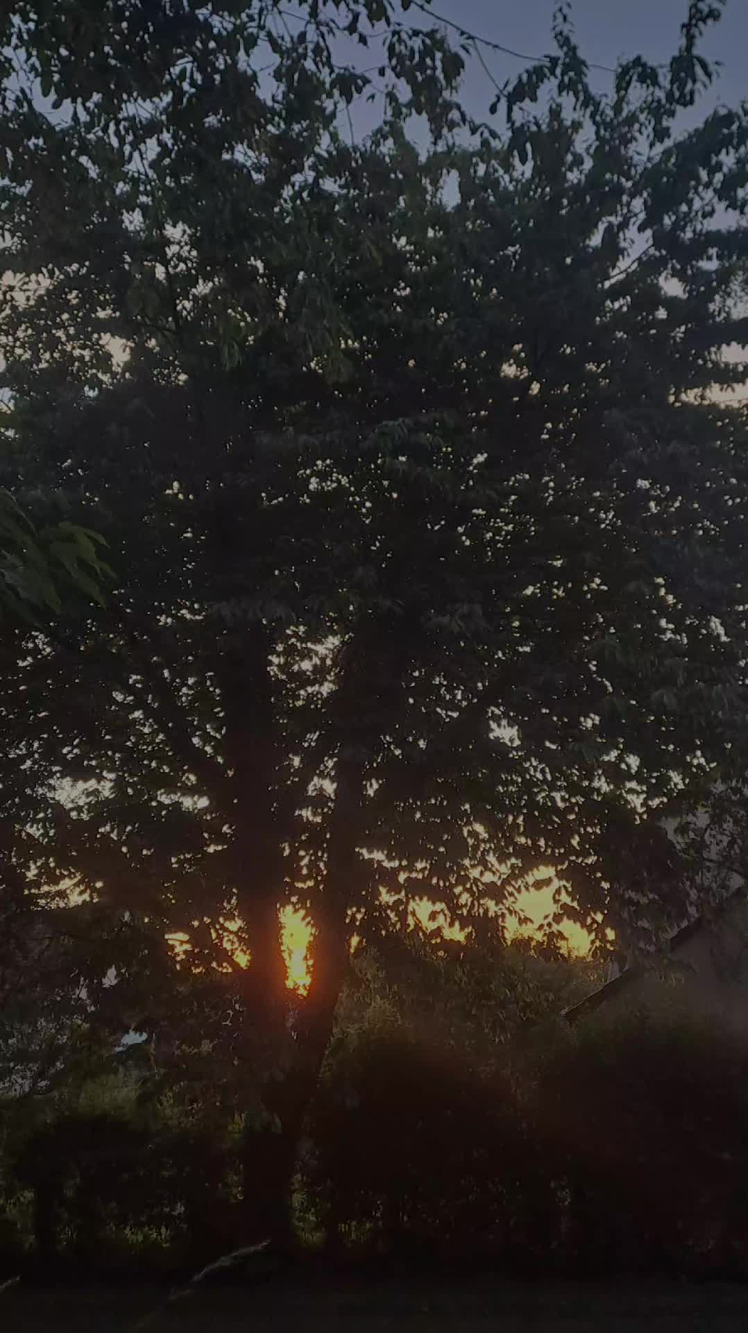 @C&eacute;libataire 💔