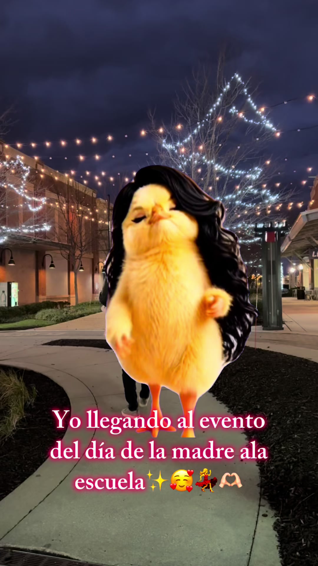 @Vianey Rodr&iacute;guez