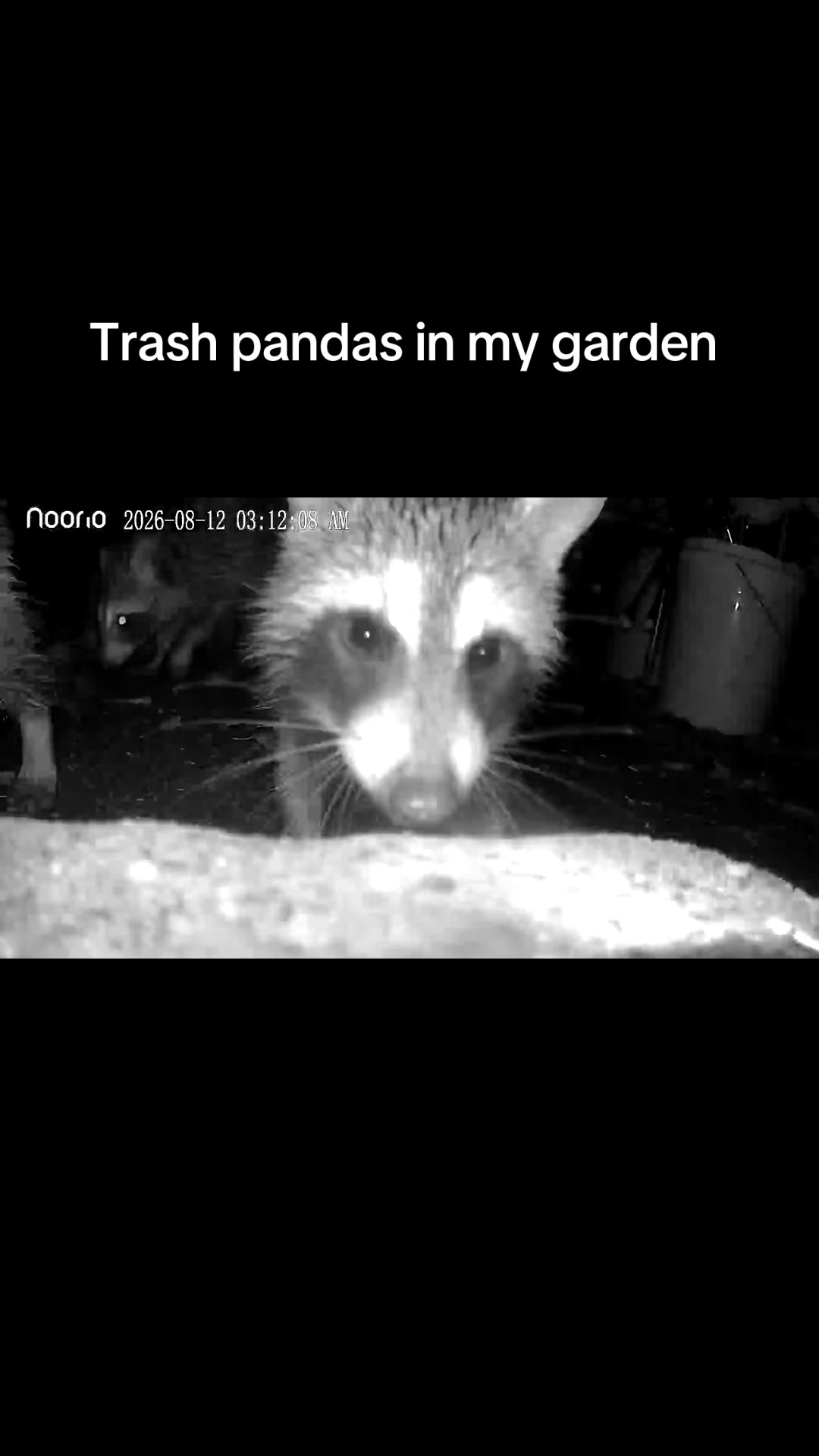 @My Everchanging Garden