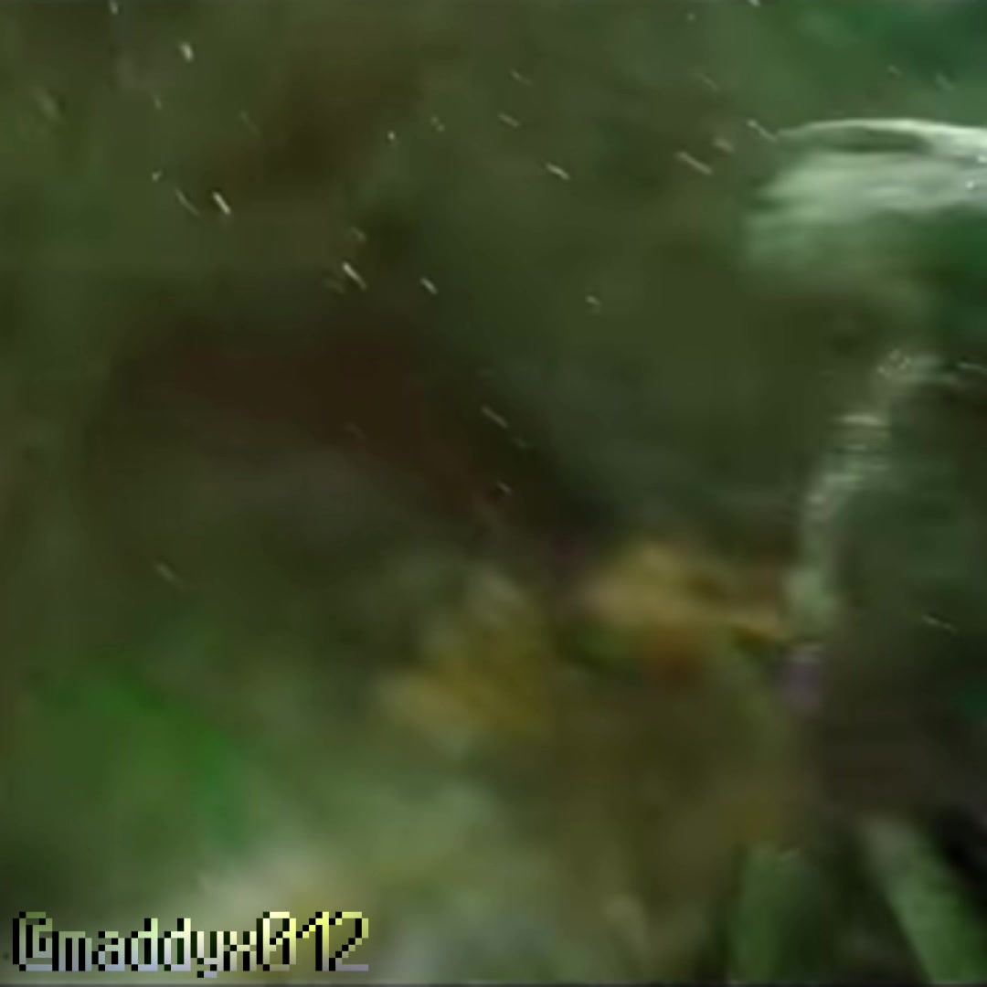 @☆𝐔𝐉☆
