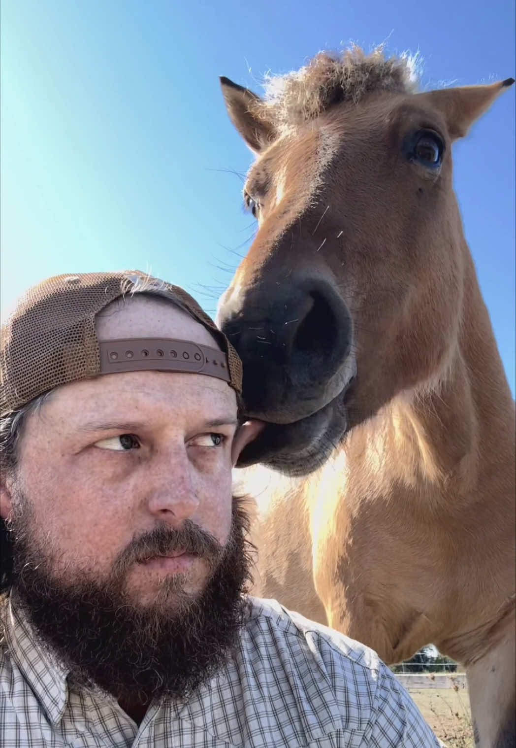 @大胡子牛仔 The Bearded Cowboy