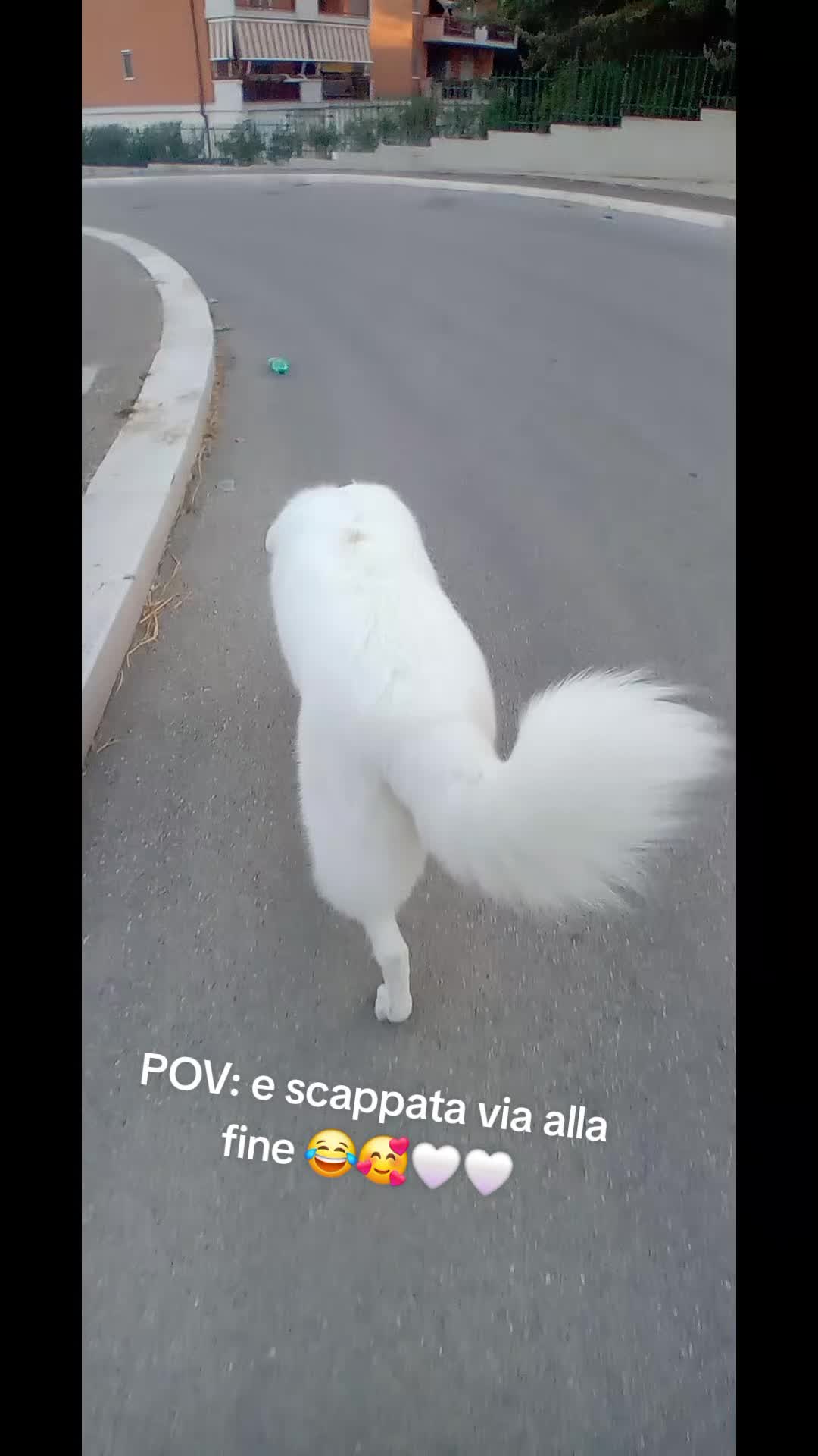 @bianca belpiede la maremmana