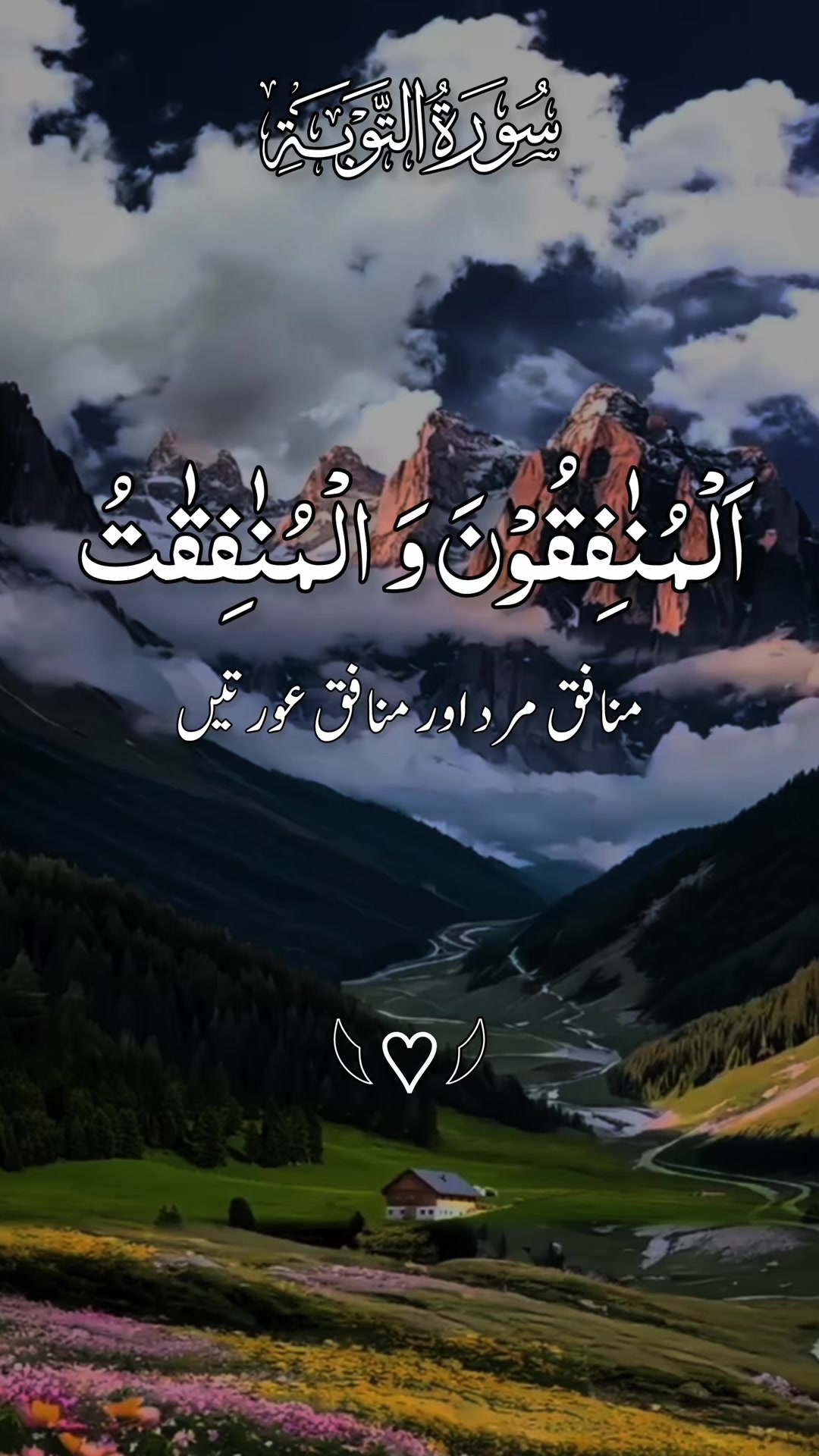@❣️ Words of Allah ❣️