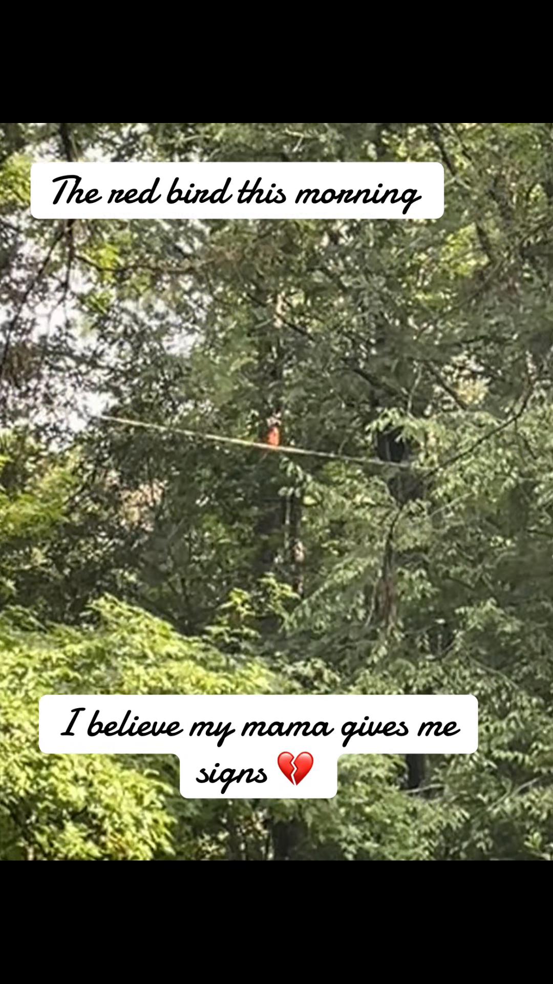 @MJ🧡💍