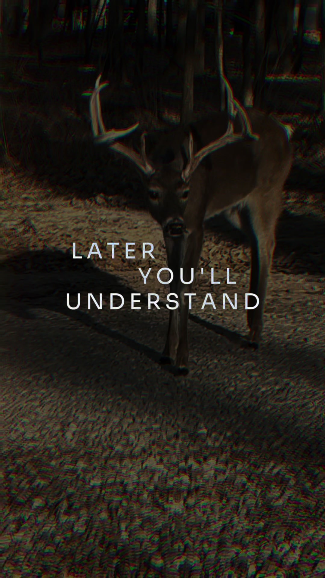 @Denna Renee