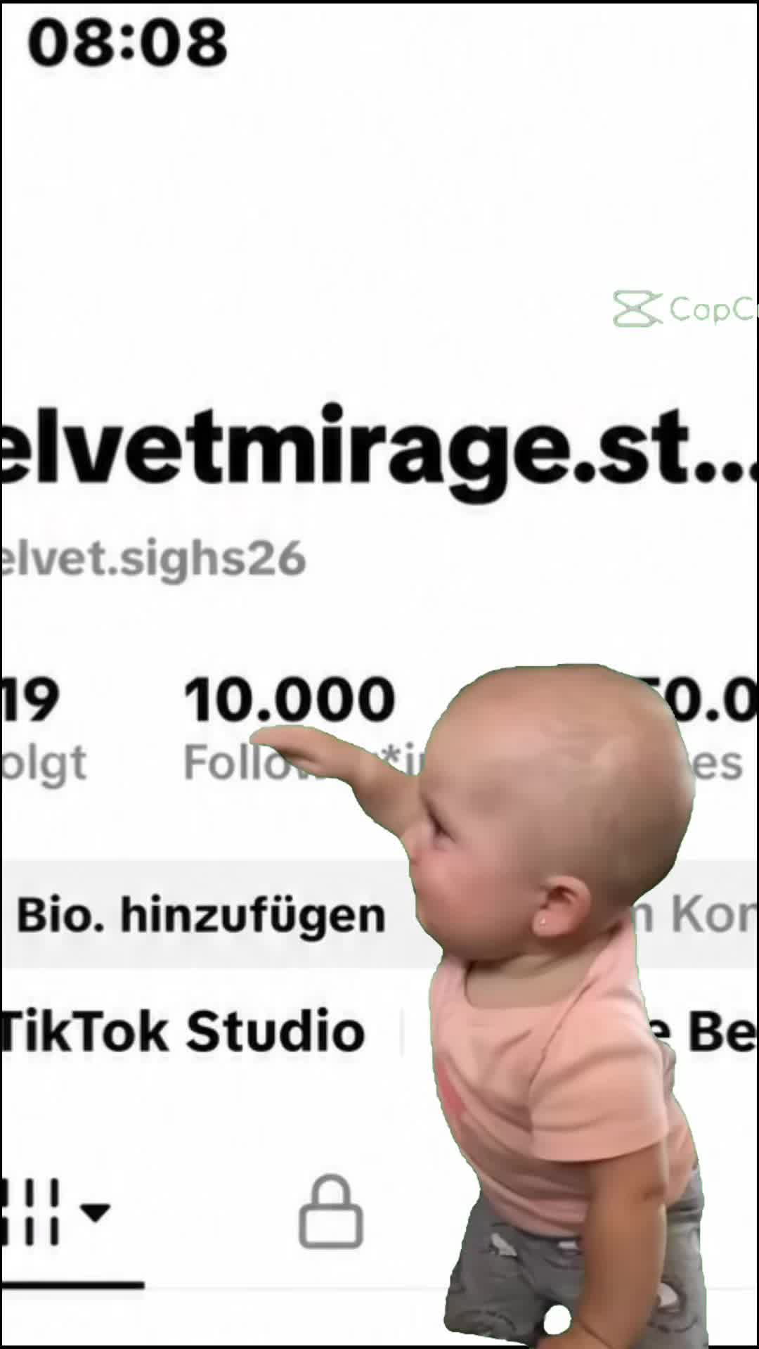 @velvetmirage.studio