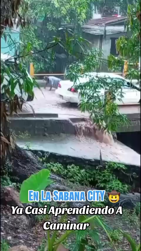@Santy Sánchez HN 🇭🇳🇺🇲🇳🇮