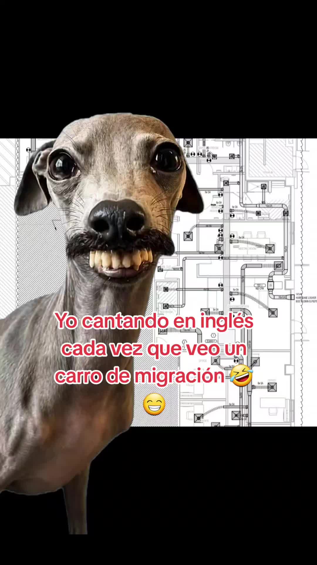 @Gabrielito 502