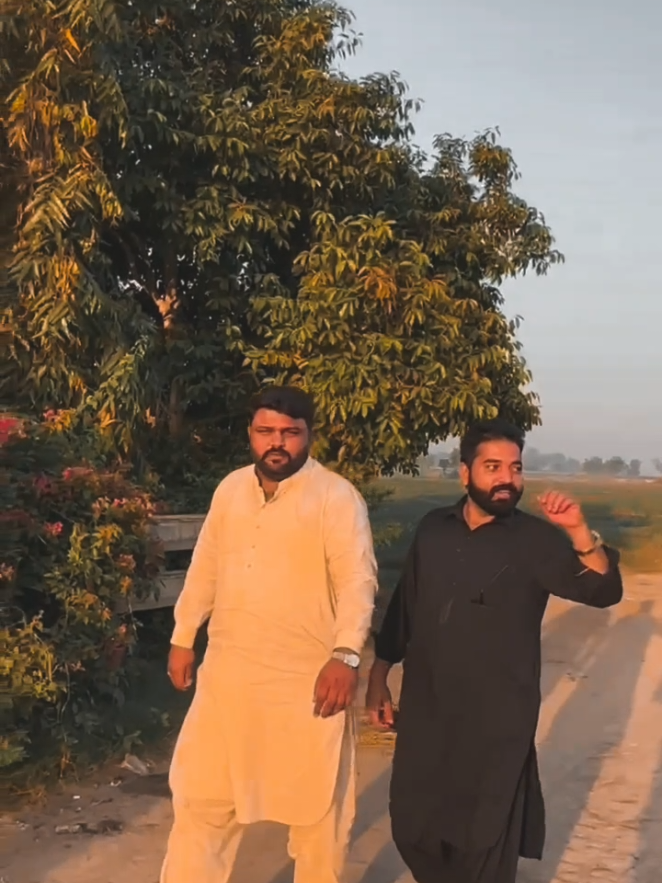 @Mehran Adv