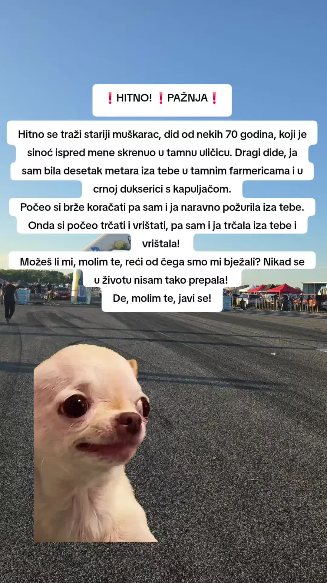 @Tina★