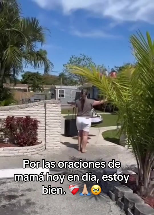 @Luisa F Puerta