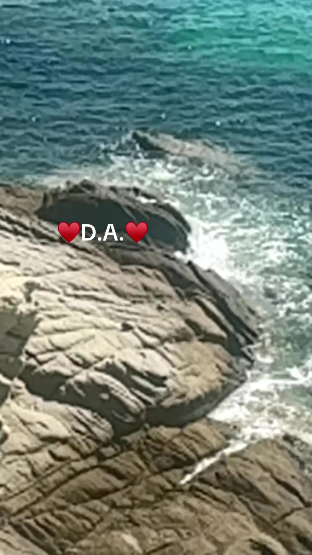 @♥️Dara America ♥️