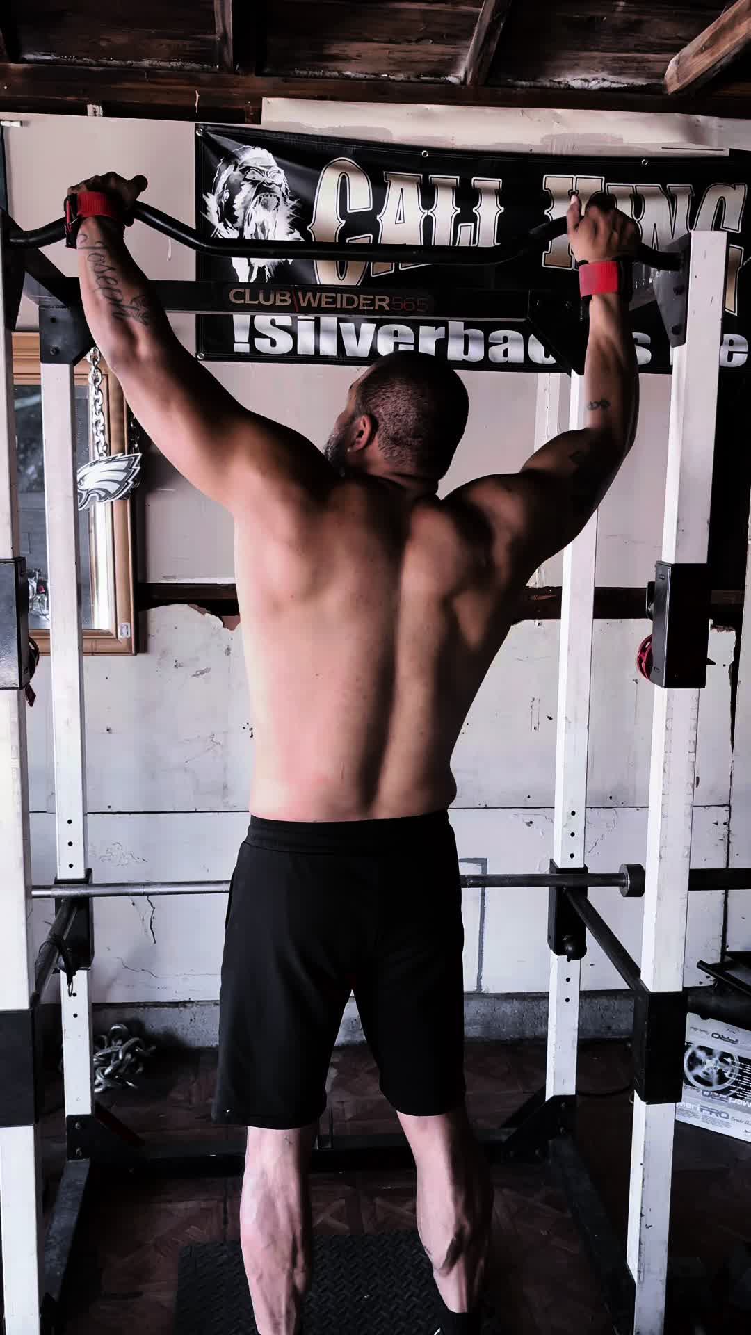 @“Outlaw Silverbacks”
