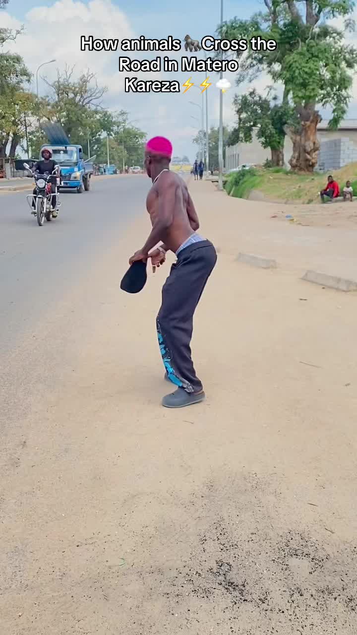 @🎵ZED RUGGER🕺