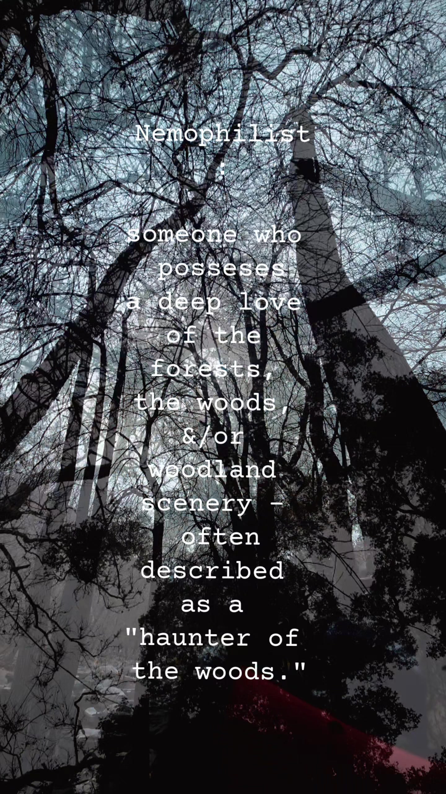 @🖤🌵✨️🌕Christina🌒✨️🌵🖤