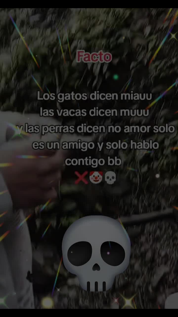 @ese mi Tauro ☯️♉️☯️