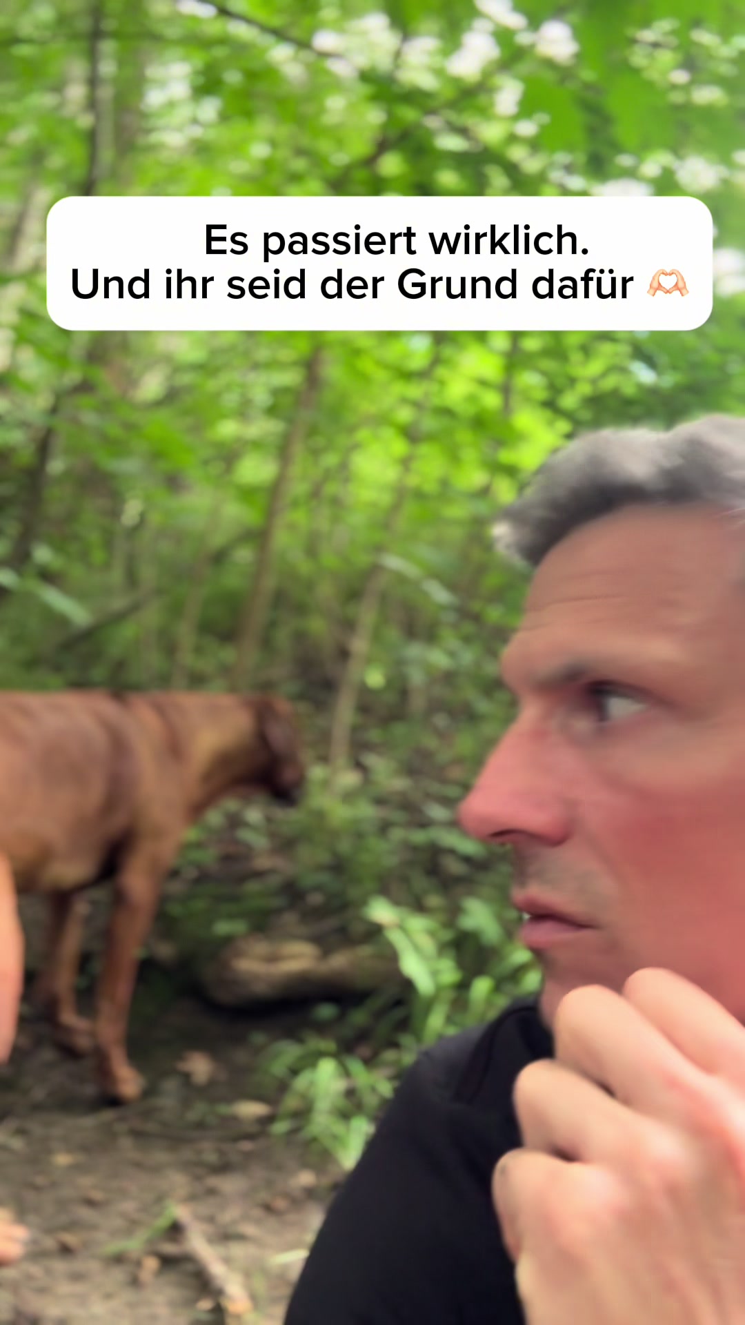 @DJ_AVELØ