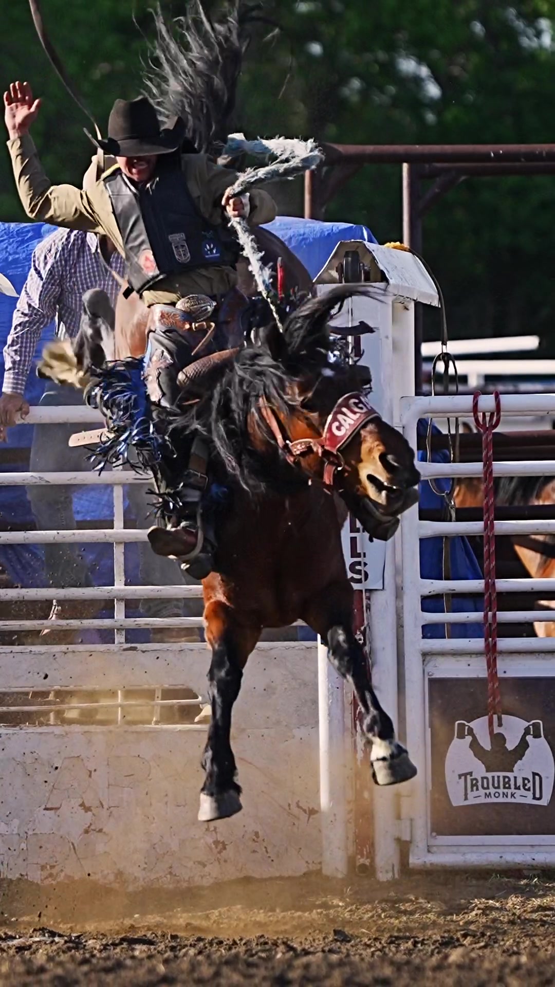 @Hanginghorses