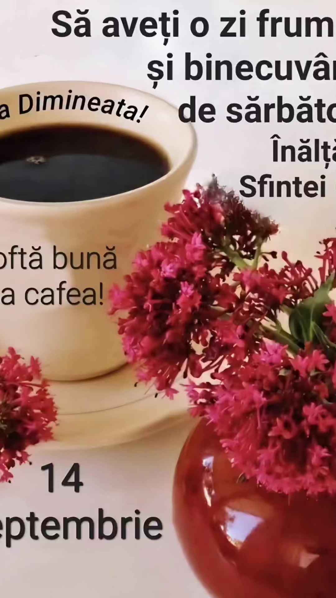 @Ruxandra Borcea