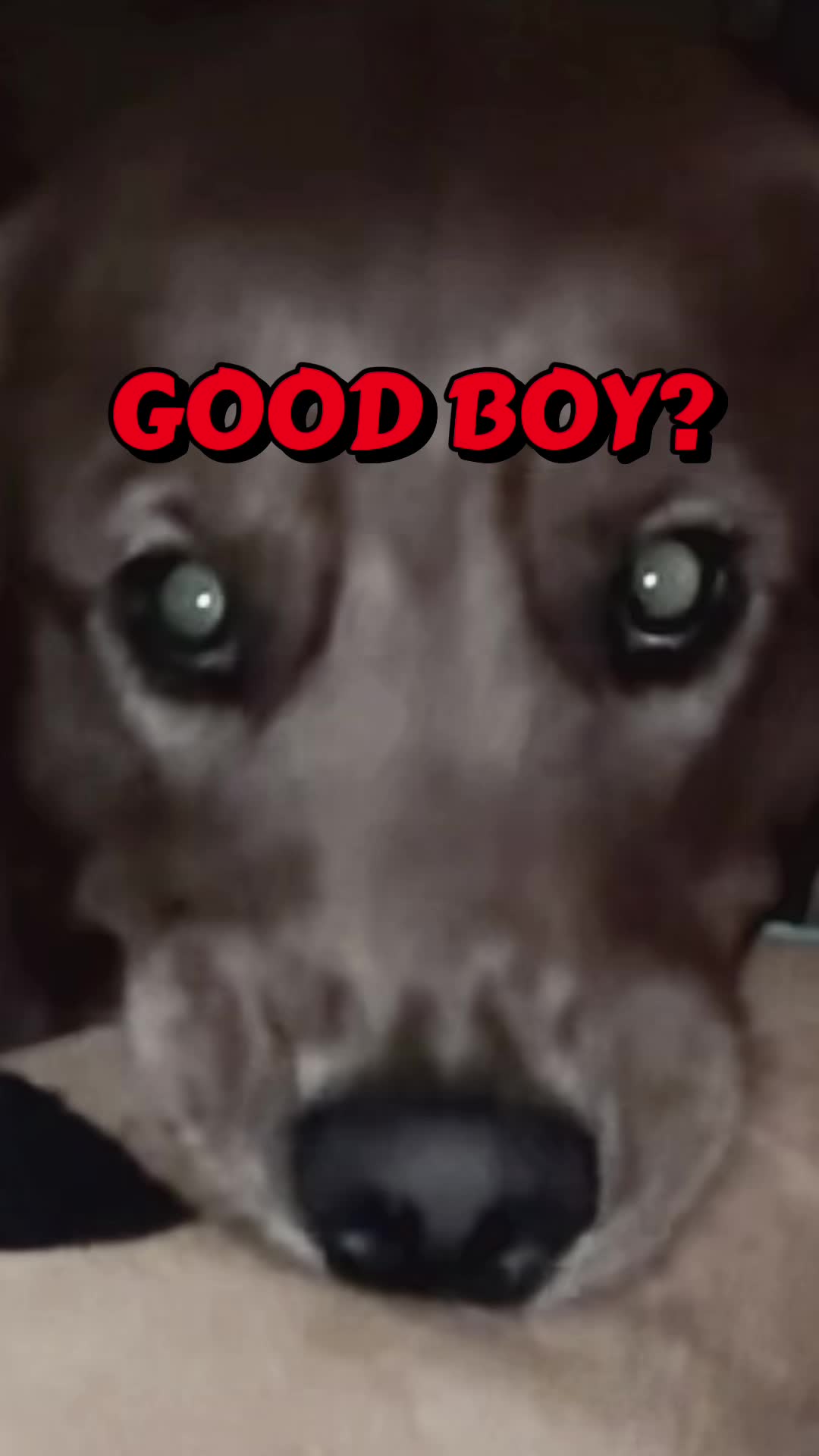 @potayto