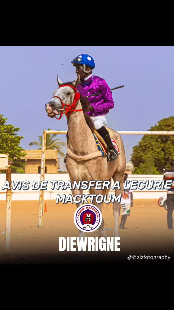 @Metzo🐎 bou tawfekh⚔️