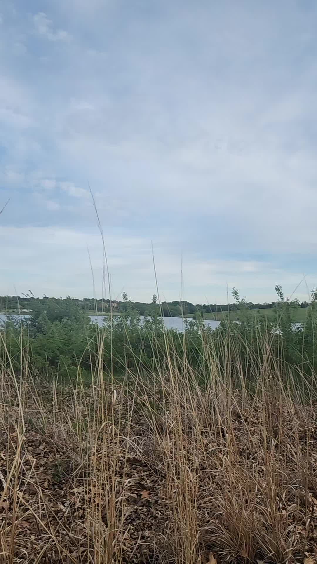 @Martina Son
