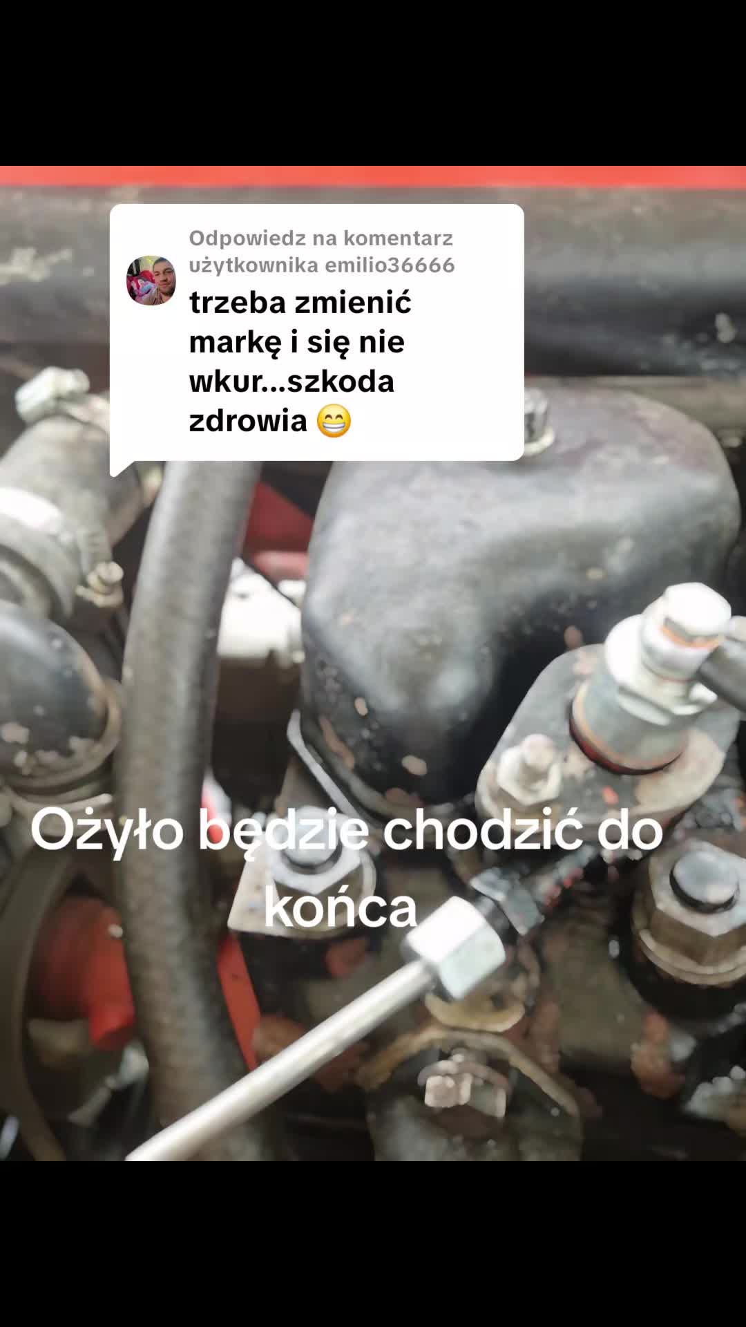 @seszunia
