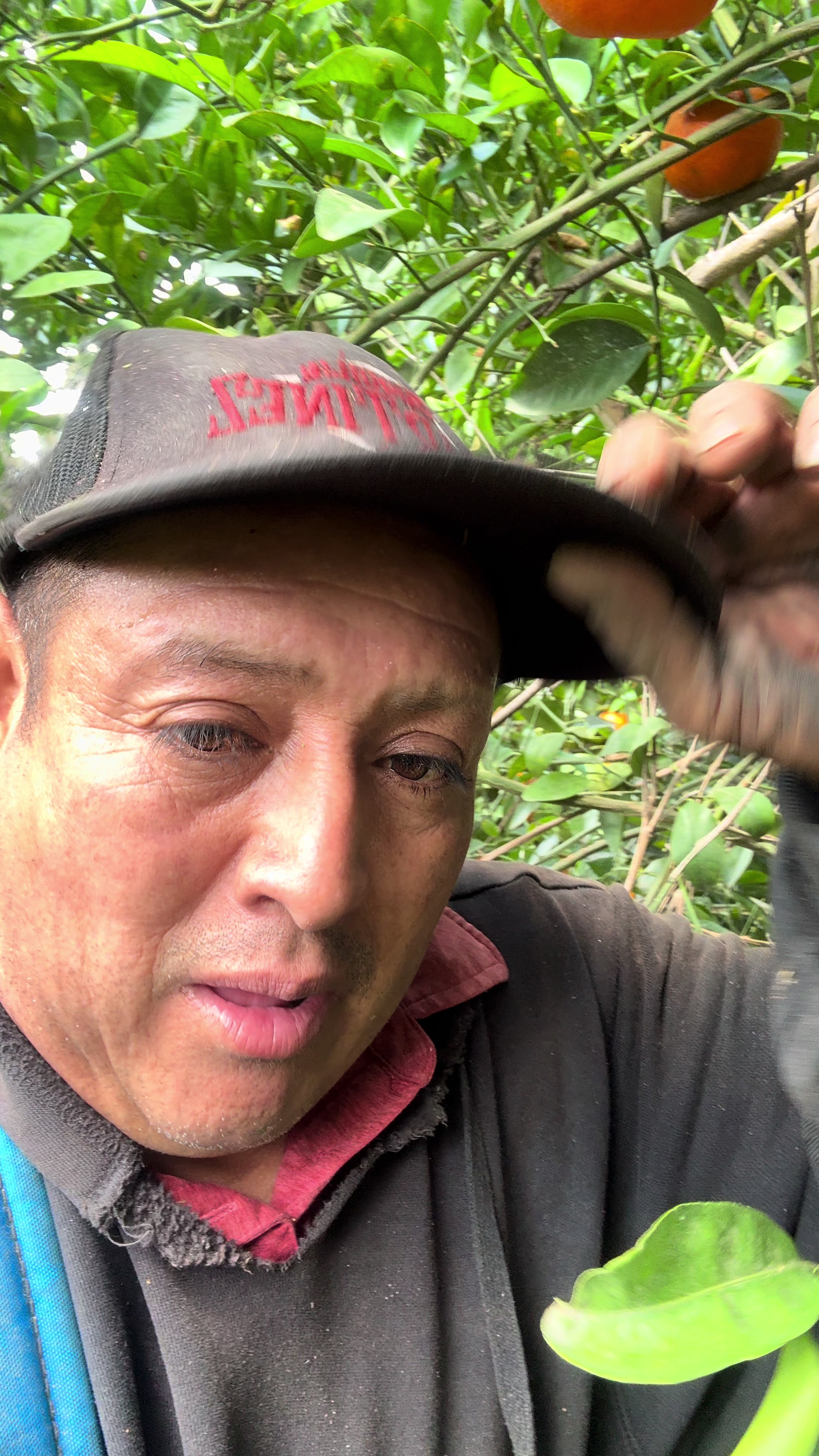 @chiquilin Mart&iacute;nez Vlog