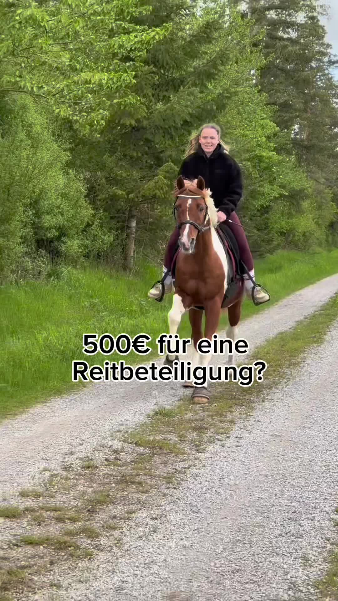@Letynnxhorses